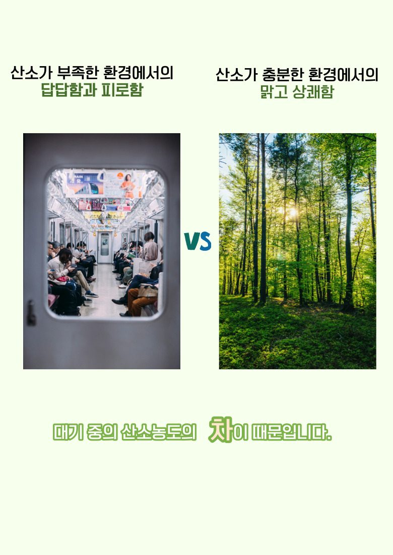산소발생기 산소방 애견 가정용
