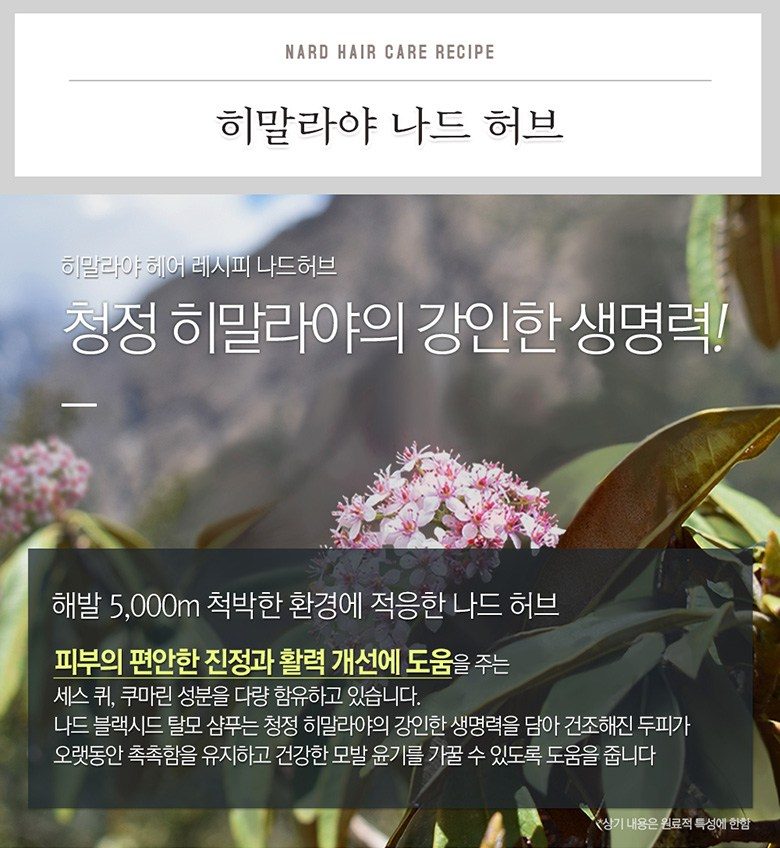 부케가르니 나드 블랙시드 탈모 샴푸 2개