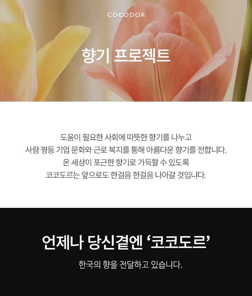 코코도르 프리미엄 디퓨저 500ml x 3p + 섬유스틱 21P