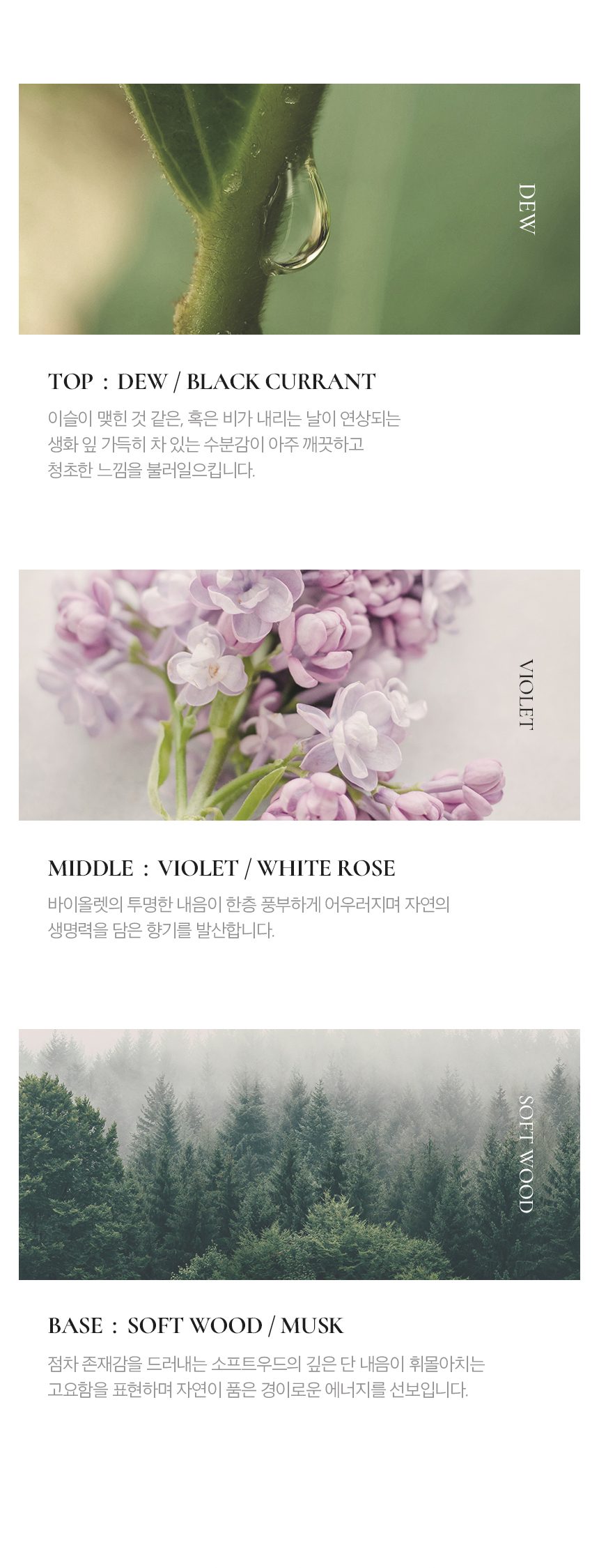 베르니엘 여자 여성 니치향수 오드퍼퓸 와일드플라워